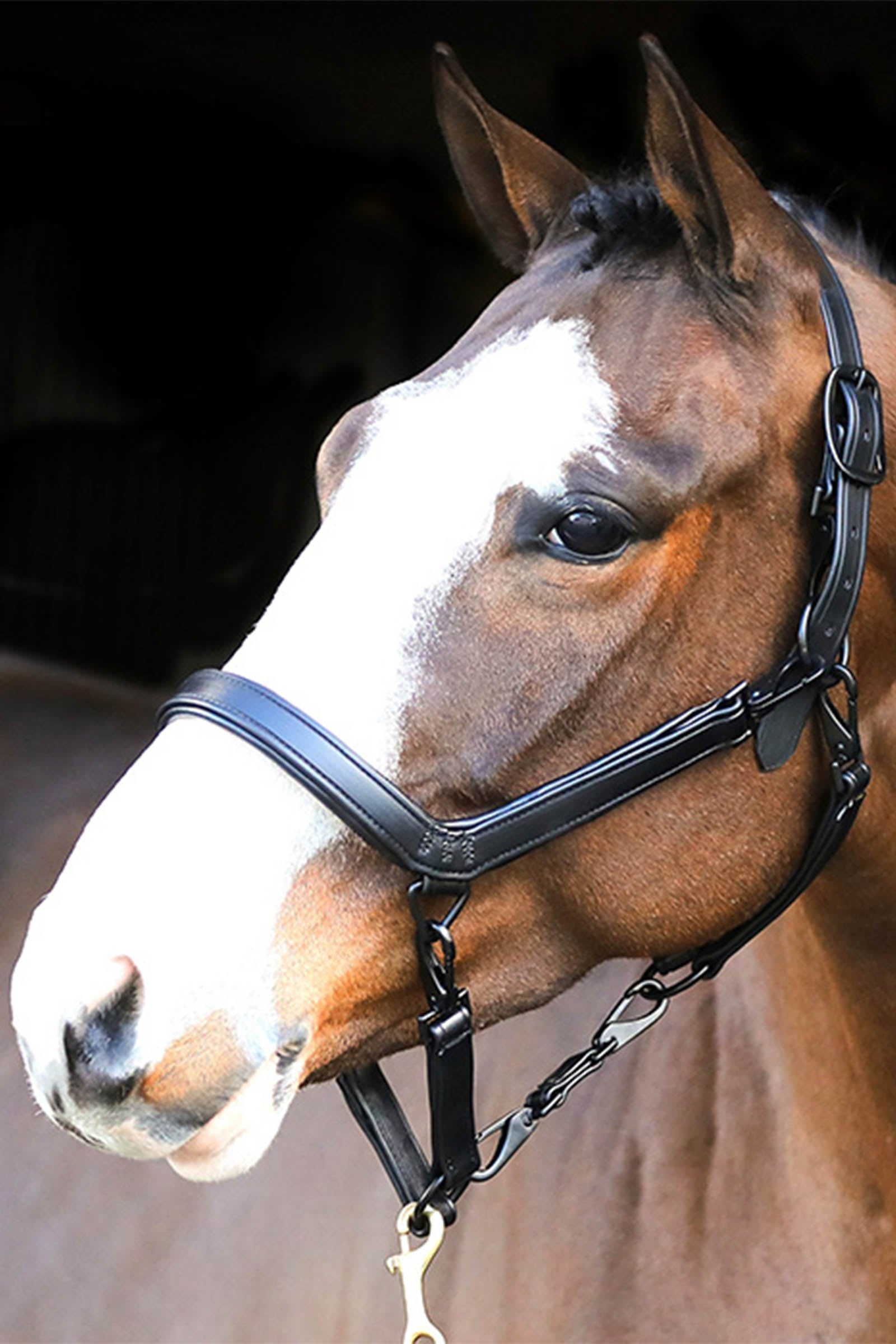 Liveryman Leather Clipping Headcollar Klippning & trimning