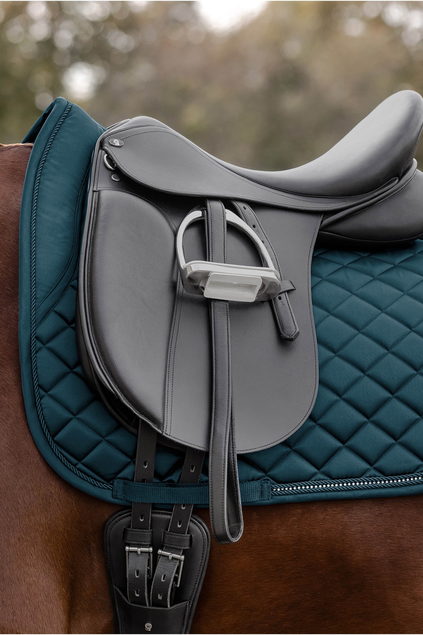 Waldhausen Nepal Dresssage Saddle Pad Saddle Pads