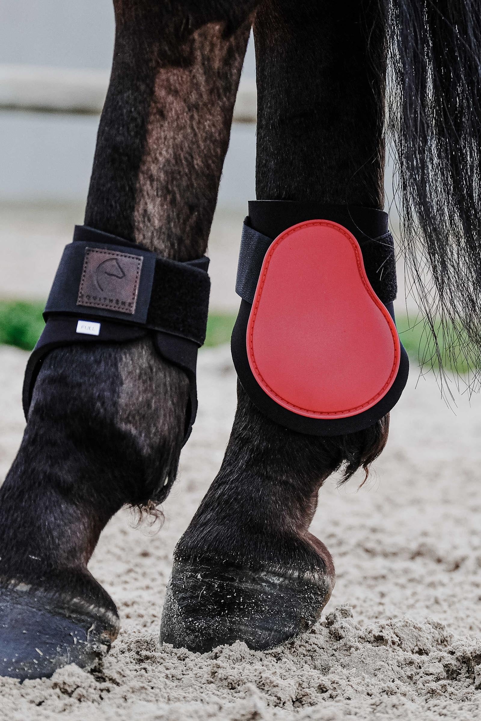 EQUITHÈME Tara Fetlock Boots Leg & Hoof Protection