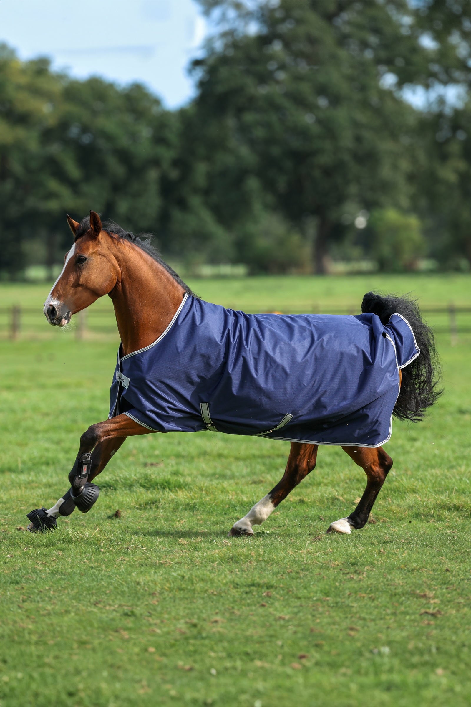 Bucas Freedom Light Pony Turnout Rug, 0g Horse Rugs
