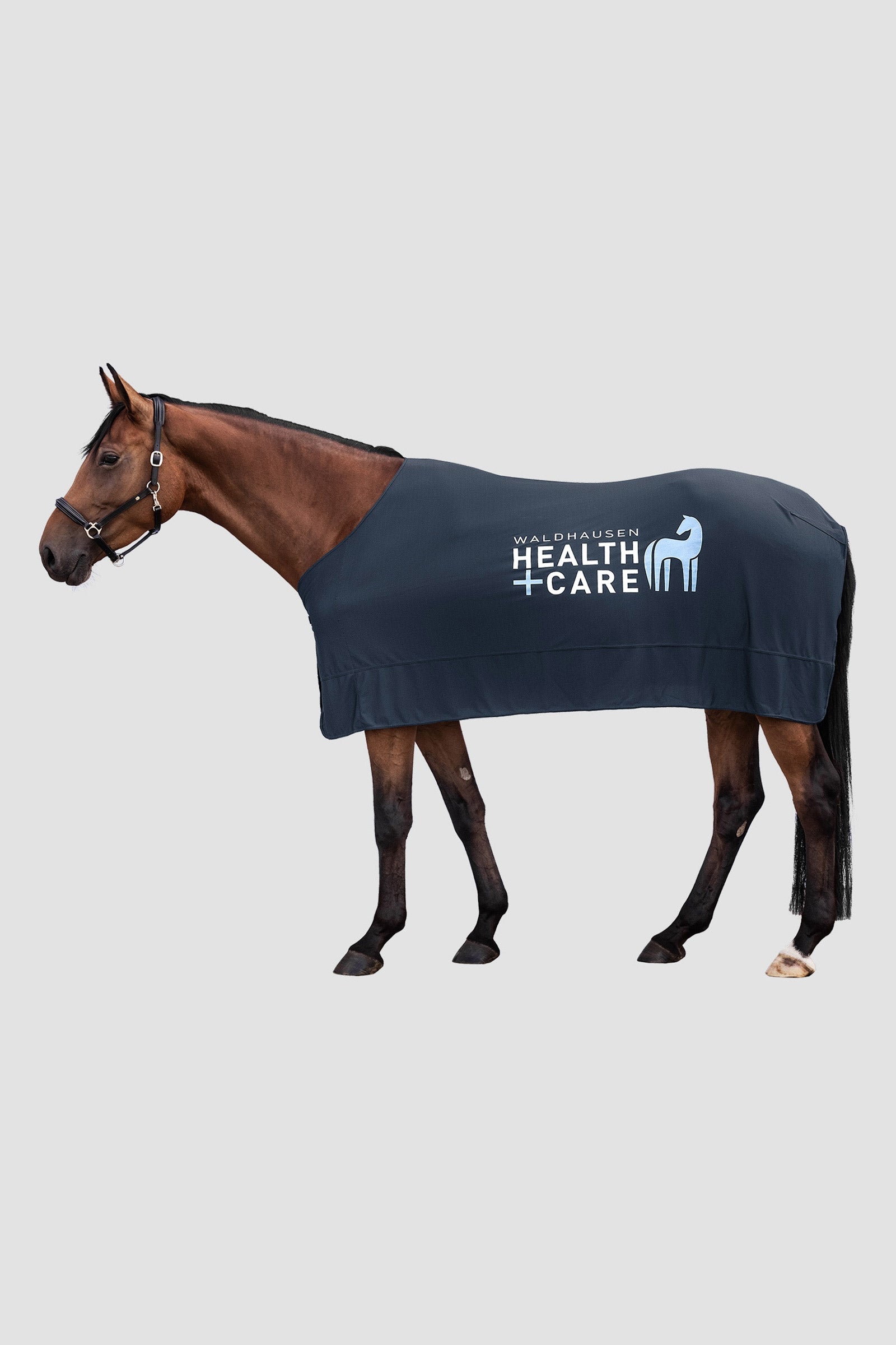 Waldhausen W-Health & Care Ice Layer Kyltäcke Hästtäcken