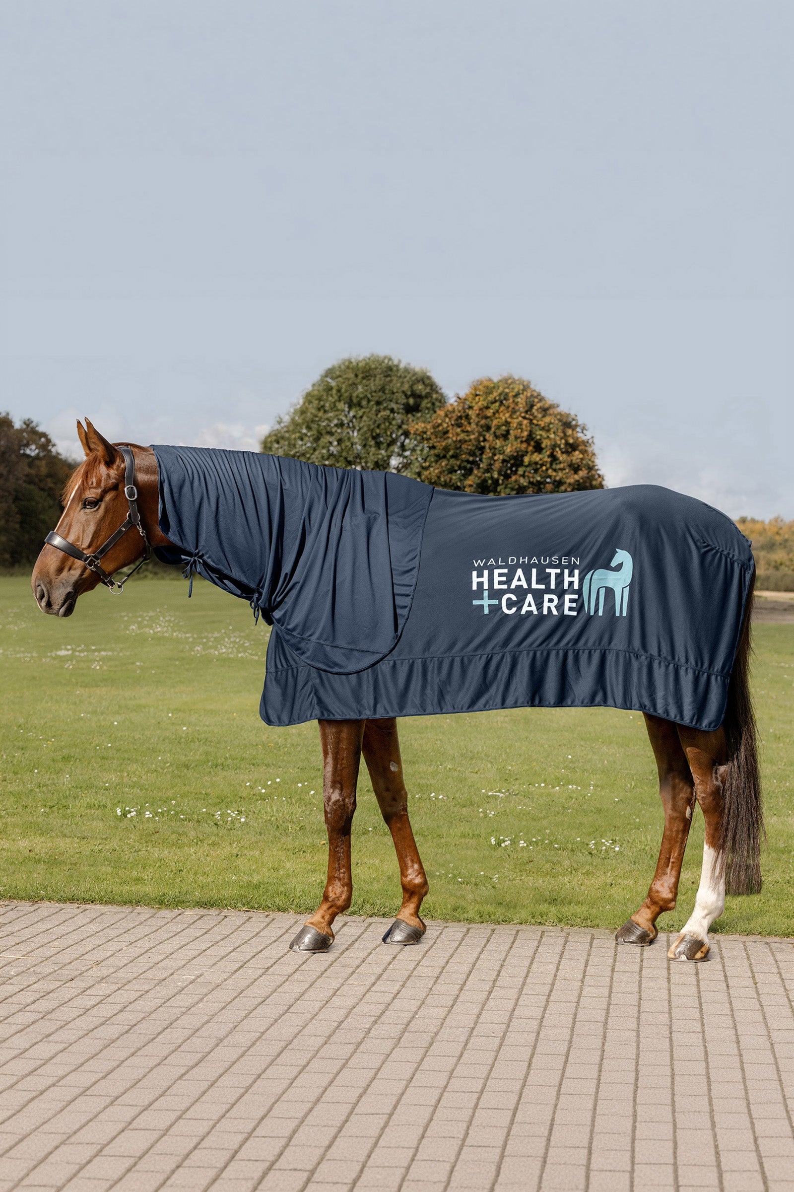 Waldhausen Health & Care Ice Layer Rug Horse Rugs