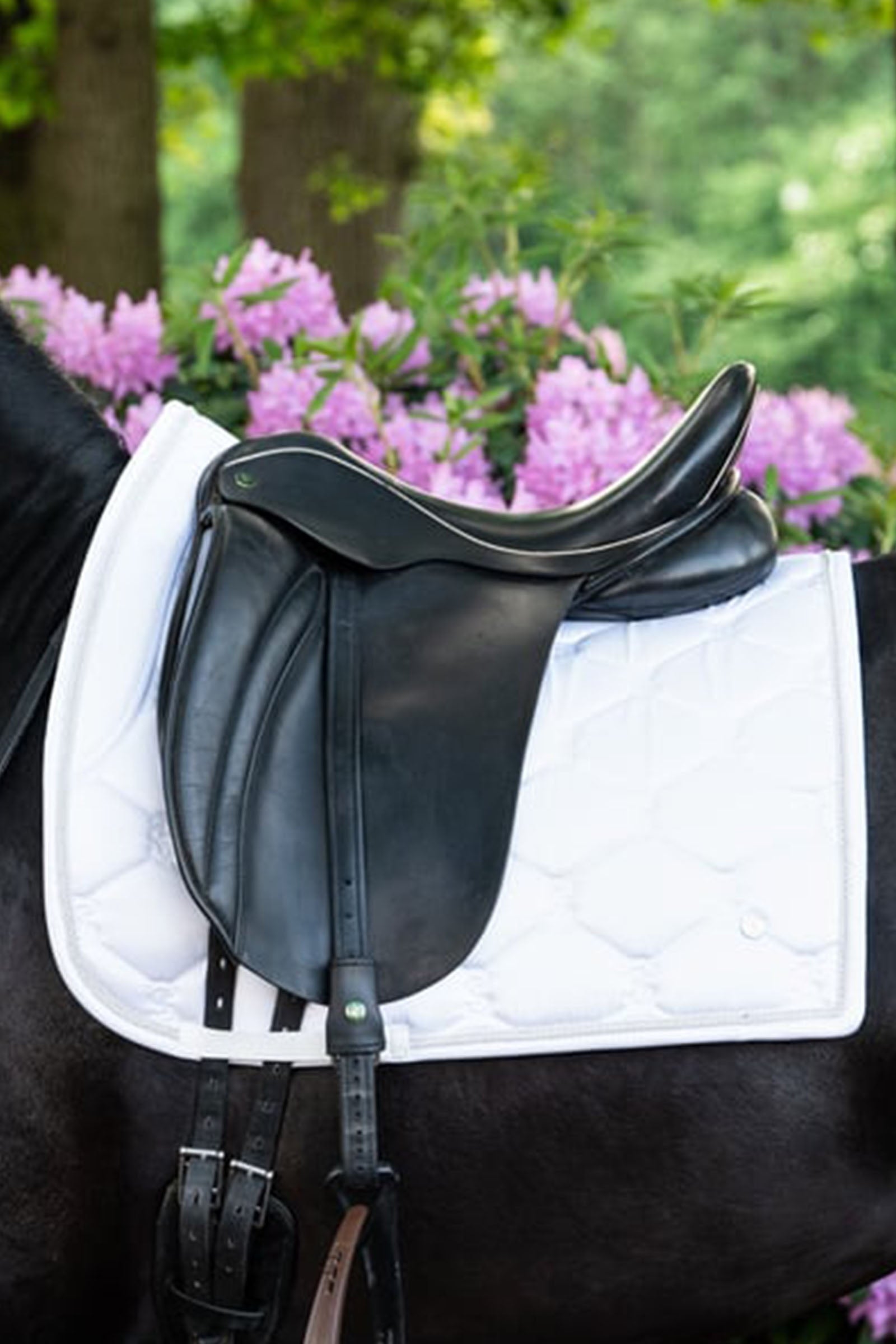 PS of Sweden Saddle Pad Dressage Signature Saddle Pads