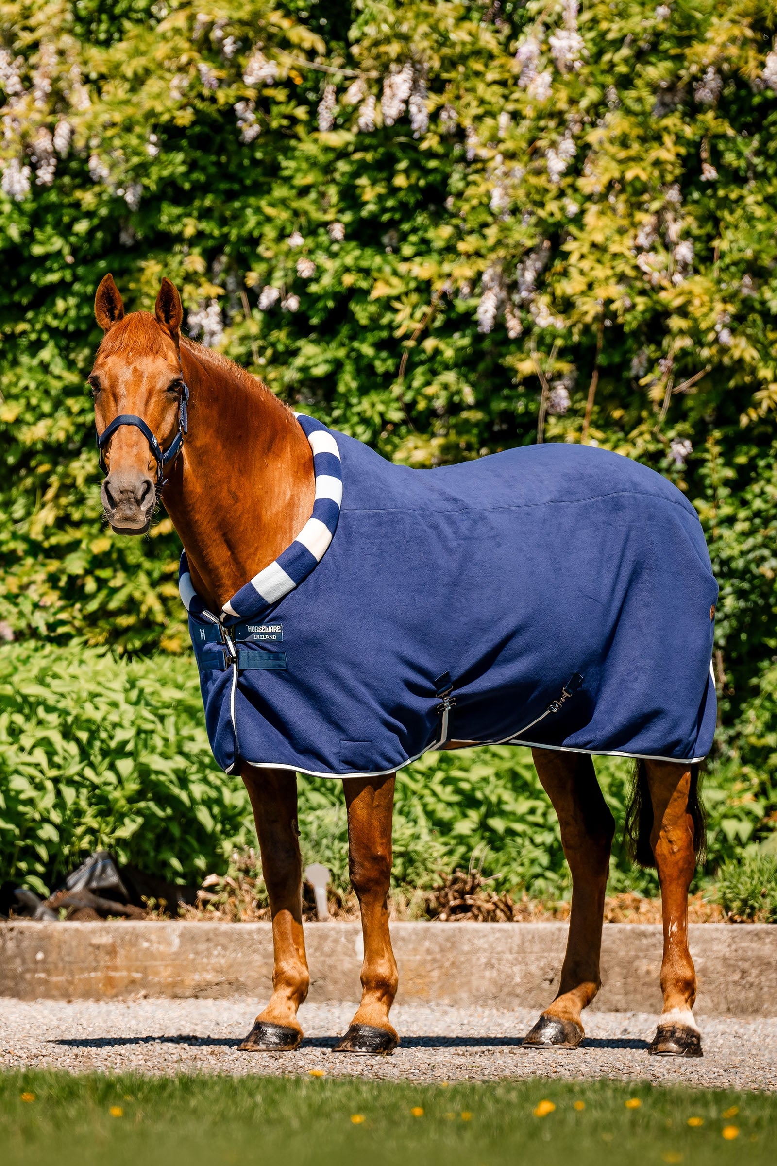 Horseware Newmarket Cosy Fleece Svettäcke Hästtäcken