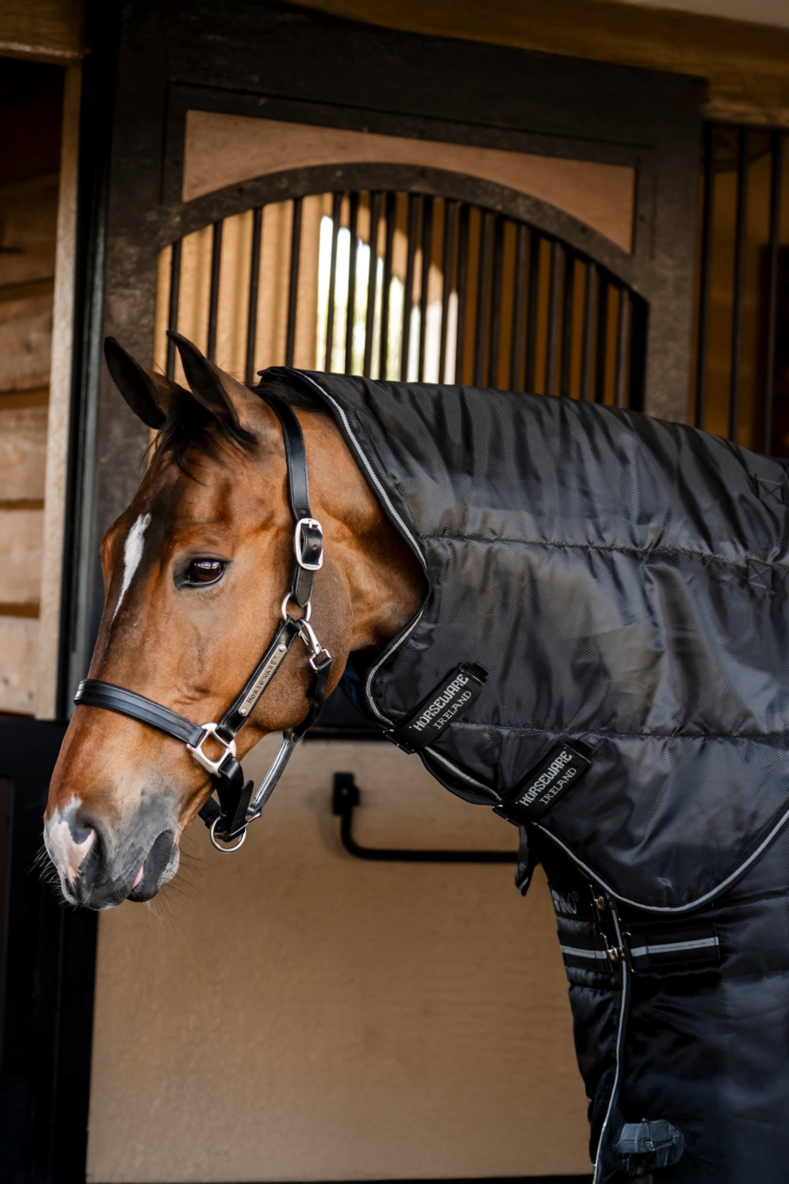 Horseware Amigo Ripstop Insulator Plus Stable Rug, 350 g Horse Rugs